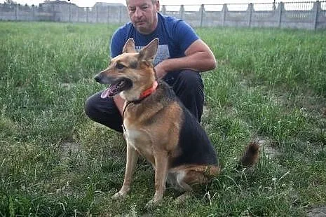 Boska dama do pokochania! Do adopcji :),  łódzkie 