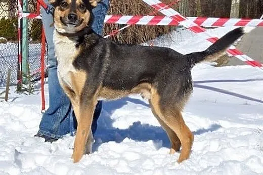 Odważny, młody, przebojowy... Cykor :),  warmińsko