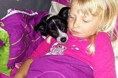 Tycia Tutka szuka super domku,  łódzkie Łódź