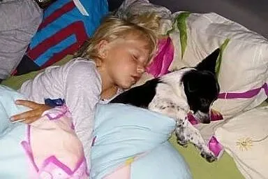 Tycia Tutka szuka super domku,  łódzkie Łódź
