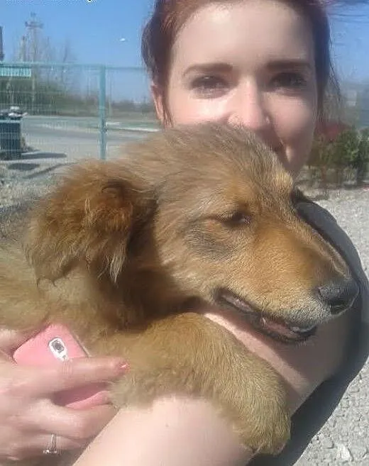 6 miesięczny szczeniak,suczka do ADOPCJI , małopo