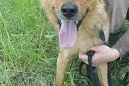 Miałem bardzo ciężkie życie odmień mój los pokochaj mnie, Mazowieckie, Warszawa
