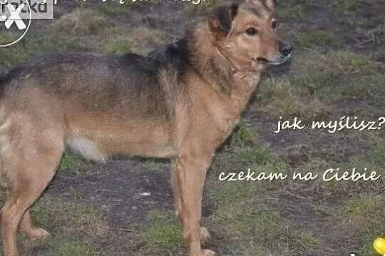 Miałem bardzo ciężkie życie odmień mój los pokochaj mnie, Mazowieckie, Warszawa