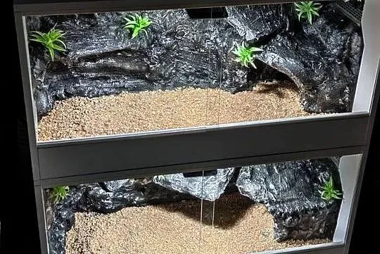 Terrarium od Egzo Systems dla gekona lamparciego agamy brodatej