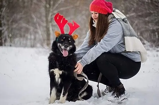 Snack gotowy do adopcji! ❤, Łódzkie, Tomaszów Mazowiecki