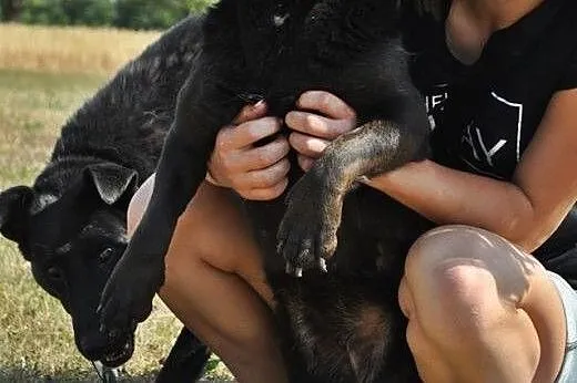 Przyjazna, wesoła Marta do pokochania, do adopcji!,  Kundelki cała Polska