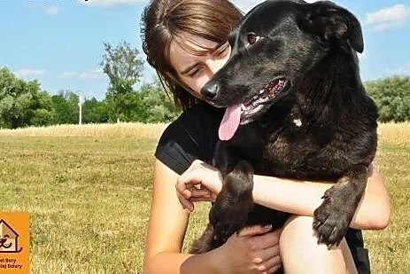 Przyjazna, wesoła Marta do pokochania, do adopcji!