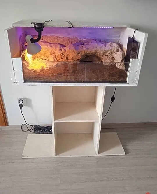 terarium dla gada, Pomorskie, Pączewo