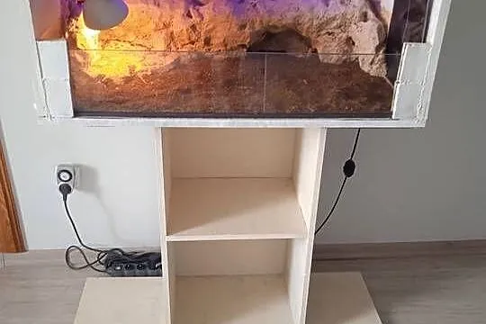 terarium dla gada, Pomorskie, Pączewo