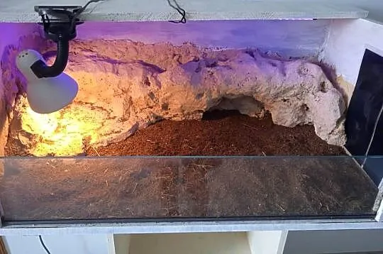 terarium dla gada, Pomorskie, Pączewo