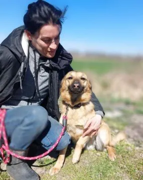 Jessi - kochana, młodziutka sunia z łaciatym noskiem!  Jessi- młoda, filigranowa dziewczyna szuka od, , Wrocław