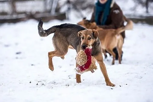 Człowieku, uśmiechnij się, LIMONKA już kocha Cię!,
