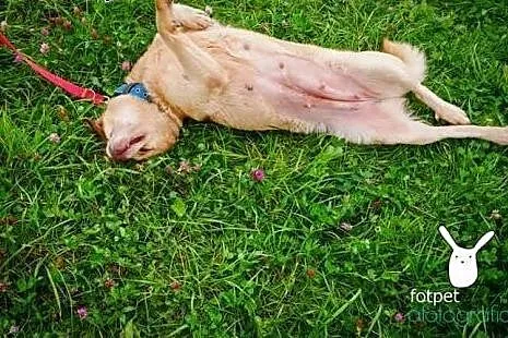 Mela mimo iż nie jest najmłodsza nadal nie traci n