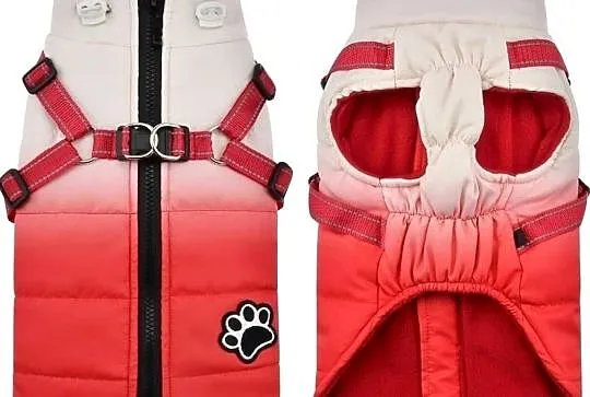 Płaszcz zimowy Norbi Dog z uprzężą, ciepły, czerwony gradient (g17), Wielkopolskie, Września
