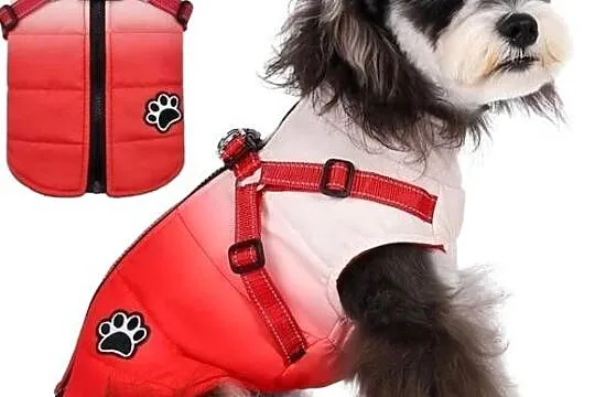 Płaszcz zimowy Norbi Dog z uprzężą, ciepły, czerwony gradient (g17), Wielkopolskie, Września