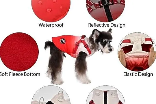 Płaszcz zimowy Norbi Dog z uprzężą, ciepły, czerwony gradient (g17), Wielkopolskie, Września