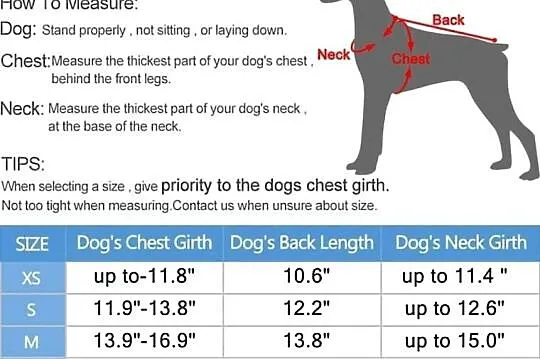 Płaszcz zimowy Norbi Dog z uprzężą, ciepły, czerwony gradient (g17), Wielkopolskie, Września