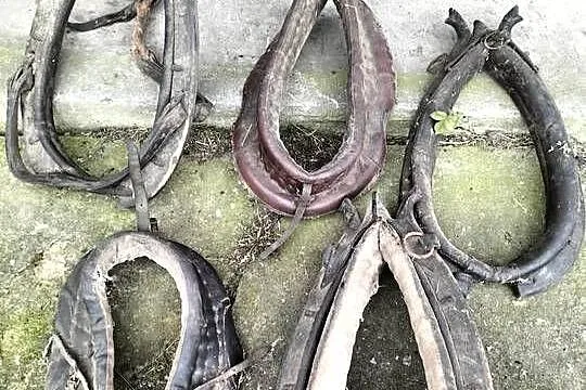 Homąto dla konia, Śląskie, Przyłęk