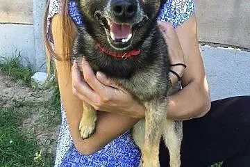 Smutny, zrezygnowany, samotny.,  wielkopolskie Poz