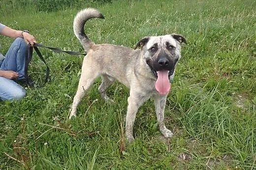 Tajfun do adopcji,  mazowieckie Warszawa