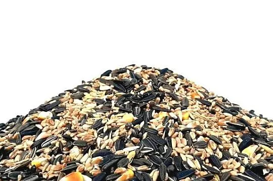 Mieszanka zimowa karma dla ptaków 30kg słonecznik, Śląskie, Cieszyn