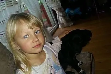 Półroczna 7 kg Klusia szuka domu ,  świętokrzyskie