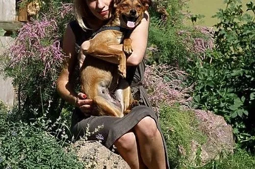 Niewielka, delikatna Mika, IDEALNY pies rodzinny,p