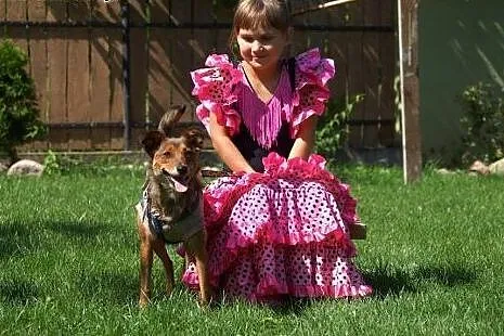 Niewielka, delikatna Mika, IDEALNY pies rodzinny,p