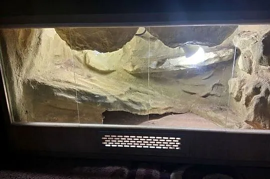 Terrarium Dla Gekona 80x40x40 Pustynne
