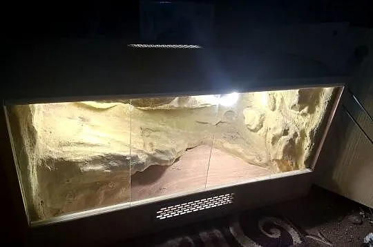 Terrarium Dla Gekona 80x40x40 Pustynne, Śląskie, Sławków