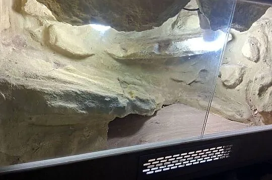 Terrarium Dla Gekona 80x40x40 Pustynne, Śląskie, Sławków