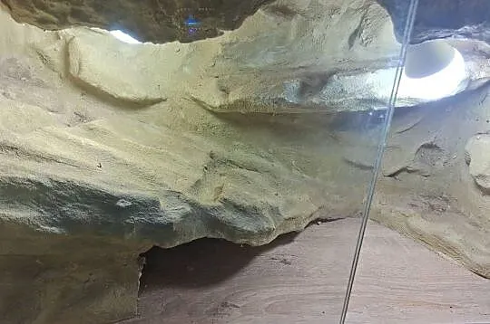 Terrarium Dla Gekona 80x40x40 Pustynne, Śląskie, Sławków