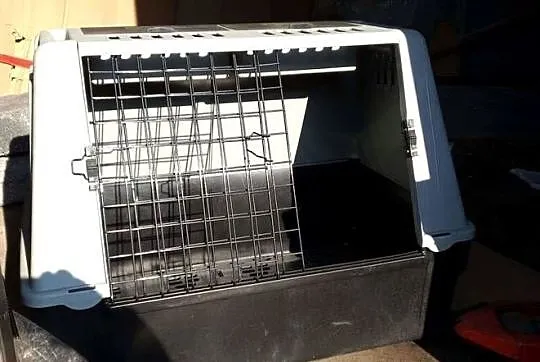 Transporter kontenerek box transportowy dla psa 80cm x 48cm i wys 60cm, Śląskie, Bielsko-Biała