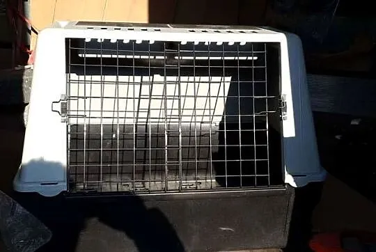 Transporter kontenerek box transportowy dla psa 80cm x 48cm i wys 60cm, Śląskie, Bielsko-Biała