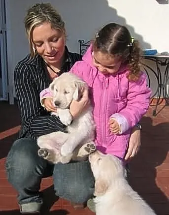 2 labradory do adopcji