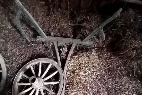 Posiadam do sprzedania sanie konne , pług konny i wóz drewniany ., Podkarpackie, Domaradz