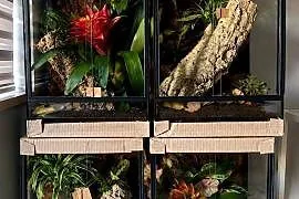 Terrarium 40x40x60