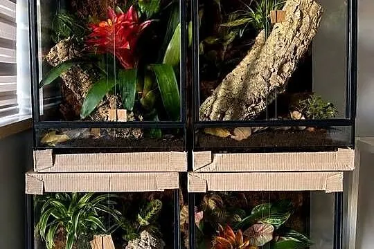 Terrarium 40x40x60