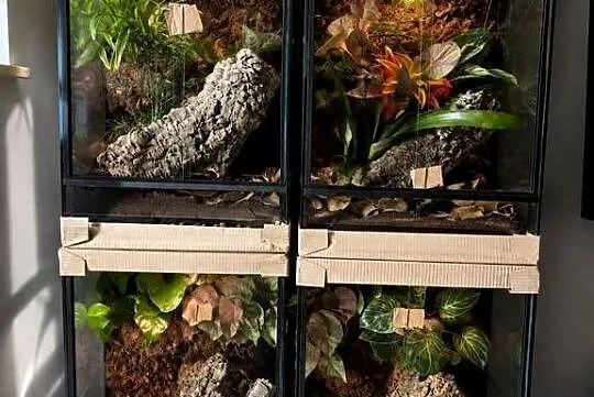Terrarium 40x40x60, Śląskie, Dąbrowa Górnicza