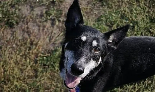 Kika.Kochać życie..., kujawsko-pomorskie Bydgoszc