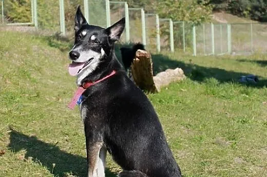 Kika.Kochać życie...,  kujawsko-pomorskie Bydgoszc