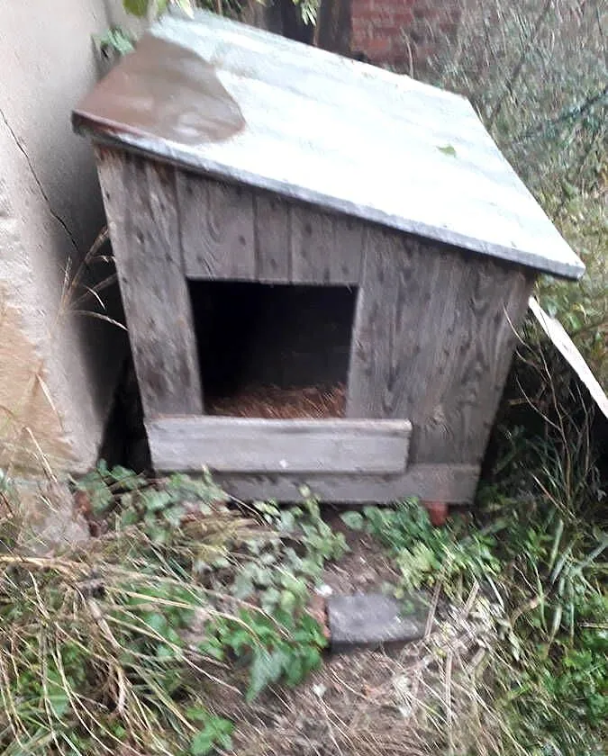 buda dla dużego psa i kojec, Wielkopolskie, Stara Krobia
