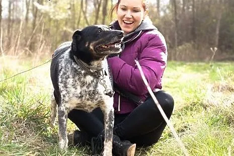 Kropek z pechową historią czeka na pozytywne zakoń
