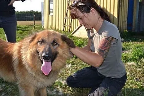 Grześ kocha człowieka nad życie. Czy ktoś w końcu 
