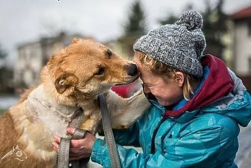 Pyszna - nie odstąpi cię na krok, rok w rok:),  ma