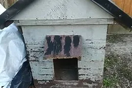 Buda dla psa ocieplona