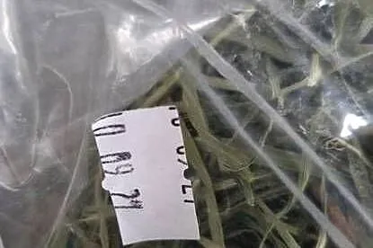 Szamu Szamu Siano Tymotkowe z suszarni 1kg Uszatkowe Rady KRÓLIK GRYZOŃ, Małopolskie, Kraków