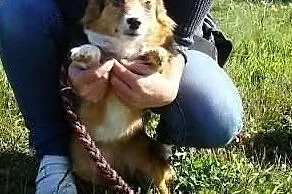 Odmień mój los daj mi domek na jaki zasługuję, , Wrocław