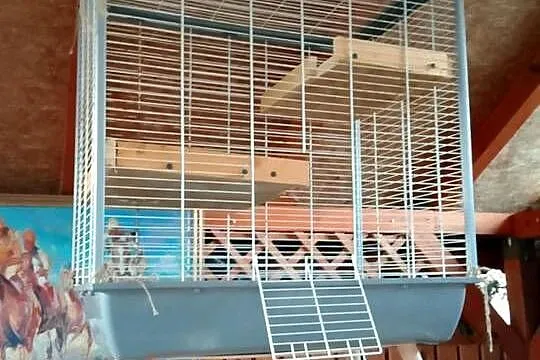 Witam mam do sprzedania klatke na papugi