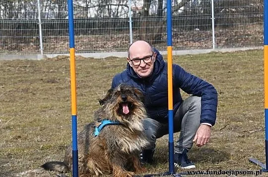 Spajki - pogodnego pieska do adopcji poleca Andrzej Krzywy, Mazowieckie, Nowy Dwór Mazowiecki